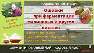 Ошибки при ферментации чая