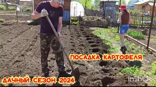 ДАЧНЫЙ СЕЗОН 2024/ОГОРОДНЫЕ ДЕЛА/ПАШУ ОГОРОД НА ДАЧЕ/ПОСАДИЛИ КАРТОШКУ/ВОССТАНАВЛИВАЮ СТАРУЮ ДАЧУ