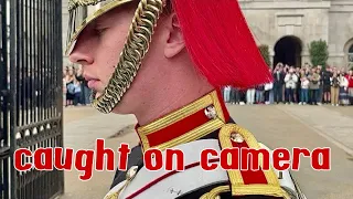 "Unruly Tourists Meet their Match: Hilarious Horse Guard's Epic Response!"