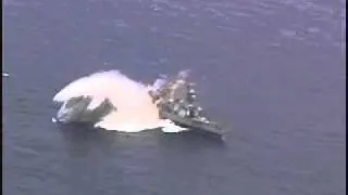 A torpedo hits a decomissioned U.S. Navy ship during RIMPAC