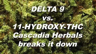 DELTA 9 vs. 11-HYDROXY-THC | Cascadia Herbals Breaks it Down | by Cannabis Frontier