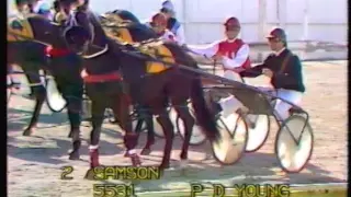 1984 New Zealand Welcome Stakes - Addington, Christchurch: Samson