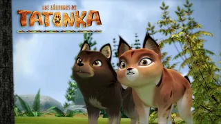 Les légendes de Tatonka 🐺 La Menace 🐺 Nouvelle Compilation