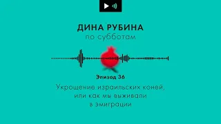 ДИНА РУБИНА. Укрощение израильских коней, или как мы выживали в эмиграции | #подкаст