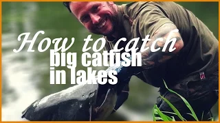 How to catch big catfish in French lakes: Rig setup, tackle, bait and landing a 77lb specimen!