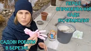 Чим обробити плодові дерева навесні,щоб не хворіли?#чимобробитидереванавесніщобнехворіли#садберезень