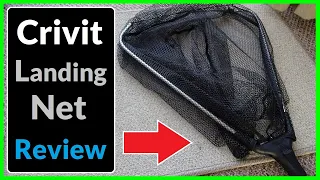 Crivit Extendable Folding Fishing Net from Lidl - Tackle Review