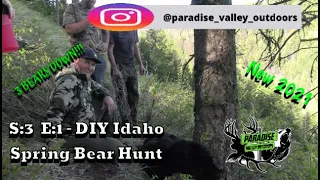 Idaho Selway Spring Bear Hunt-3 Bears Down