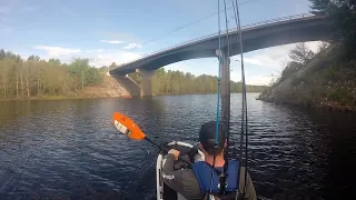 My First Kayak Tournament on Stumpfield Marsh -- NHKF Event #1, 2022 (In the Money)