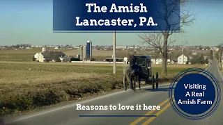 Visiting the AMISH! Lancaster, Pennsylvania