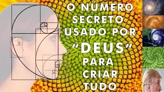 Proporção Áurea: O número secreto da natureza