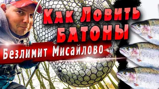 Безлимит Мисайлово | Как ловить крупную форель | Пассивная форель на силикон