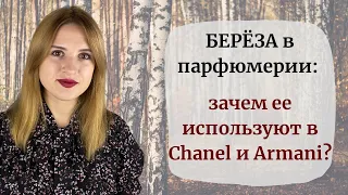 Осенние ароматы: парфюмы с нотой березы. Как пахнет береза в парфюмерии? Ароматы Armani, Chanel и др