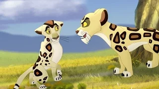 Lion Guard: Badili VS Mapigano | The Trouble With Galagos HD Clip