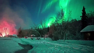 Aurora Borealis Real Time Video from Alaska in 4K