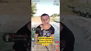 Oglindă oglinjoară,cine este cea mai frumoasă din țară??🤣🤣🤣 #mitrica #funny #shorts #shorttiktok