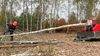 🌲Chopped a 10 meter log in a second! Unreal Branch Logger!