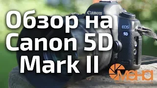 Обзор на Canon 5D Mark II (снимаю на него 9 лет)