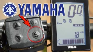 How To: Use Yamaha Display