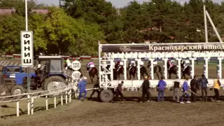 14 скаковой день на Краснодарском ипподроме (17.10.2015)