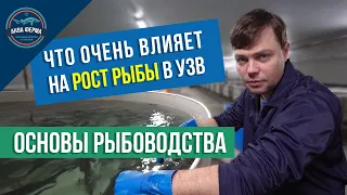 Очистка воды в УЗВ как это работает