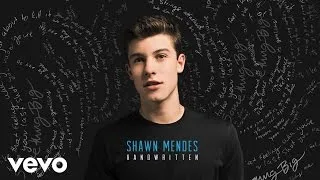 Shawn Mendes - Never Be Alone (Official Audio)