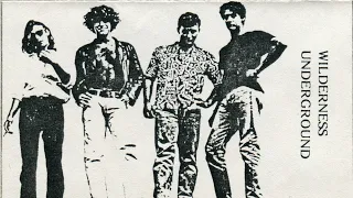 Wilderness Underground - W.U.  (Demo, Siena, Italy, 1987, Punk, Garage Rock, Hard Rock)