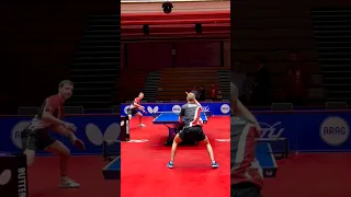 Top spin Timo Boll