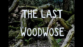 THE LAST WOODWOSE TRAILER