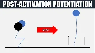 Post Activation Potentiation | Theory and Practical Application