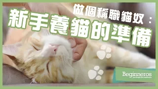 【寵物教學】做個稱職貓奴：新手養貓的準備｜Beginneros