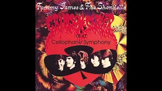 Tommy James & The Shondells - Crimson and Clover - Original LP Remastered