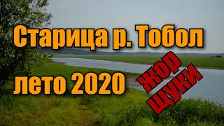 Рыбалка на щуку, лето 2020г. Старица Тобола.