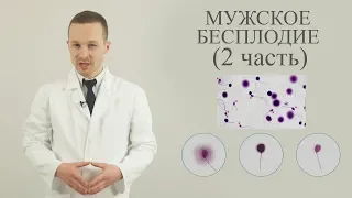 мужское бесплодие ч 2 (диагностика и лечение)