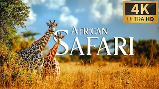 African Safari 4K 🐾 Discovery Relaxation Wonderful Wildlife Movie with Relax Piano Music