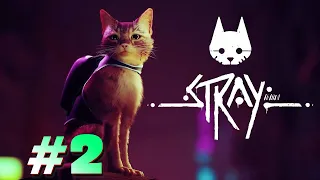 АНТОША ПРОХОДИТ ИГРУ ПРО КОТИКА | Stray #2