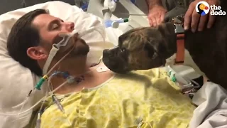 Dog Says Goodbye To Dying Dad at the Hospital | The Dodo