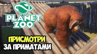 Planet Zoo | Сбережем Мадагаскарских обезьян. Кампания