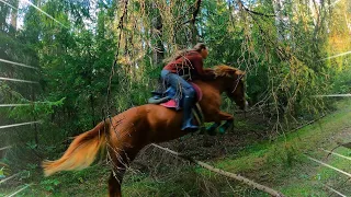 ПРЫГАЕМ в ЛЕСУ верхом! Через лесные препятствия 🍃