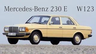 Class & Dignity - 1983 Mercedes-Benz 230 E (W123)