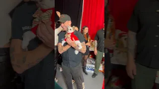 Ryan Tedder And Big Time Rush Meet On The iHeartRadio Jingle Ball Red Carpet (With A Puppy 🥹)
