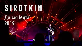 Sirotkin - Live @ Дикая Мята 2019