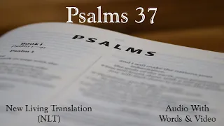 Psalms 37 - New Living Translation (NLT) Audio Bible.