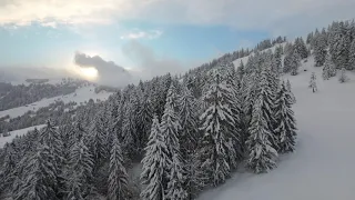 Ibergeregg Wald Winter - 4k Drone Switzerland - Drohne Schweiz