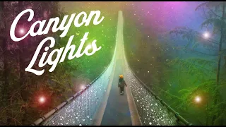 Canyon Lights