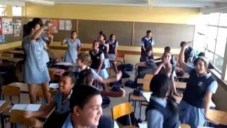 The Settlers High Grade 9BF Harlem Shake