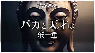 【ブッダの教え】バカと学者の対話〜先入観で人を判断してはダメ〜【バカと天才は紙一重】