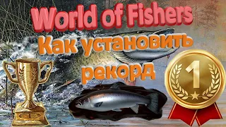 Обучение для новичков, как установить рекорд в игре World of Fishers