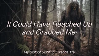 It Could Have Reached Up and Grabbed Me! - My Bigfoot Sighting Episode 118