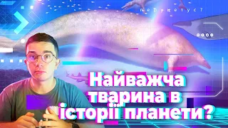 🐋🦭Перуцетус-Наважча тварина в історії планети?дослідження ,еволюція та спосіб життя  вимерлого кита